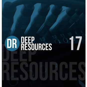 Various Artists - Deep Resoures, Vol. 17