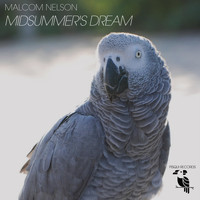 Malcom Nelson - Midsummer's Dream (Night Star Mix)