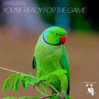 Starduster - You're Ready for the Game (Deep Voice Mix)
