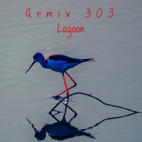 Armix 303 - Lagoon