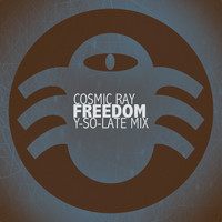 Cosmic Ray - Freedom (Y-So-Late Mix)