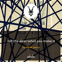 Steve Parry - Roll The Dice / What You Make It