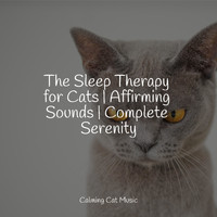 Calm Music for Cats, Official Pet Care Collection, Pet Care Music Therapy - The Sleep Therapy for Cats | Affirming Sounds | Complete Serenity