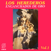 Los Herederos Uruguay - Enganchados de Oro, Vol. 1