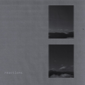 Nick Vereshchak - Reactions