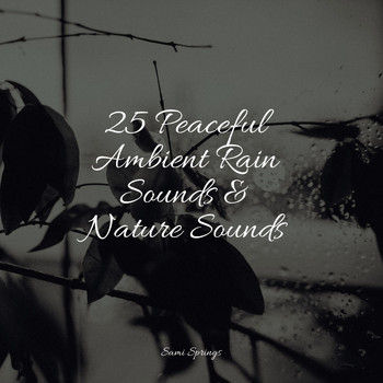 Musique Zen Garden, Guided Meditation, Rain Sound Plus - 25 Peaceful Ambient Rain Sounds & Nature Sounds