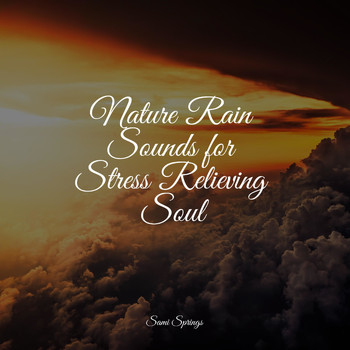 Rain Sounds XLE Library, Meditation Zen, Wave Sound Group - Nature Rain Sounds for Stress Relieving Soul