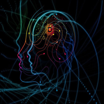 Prismatic - Brain Plasticity