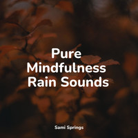 Rainforest, Academia de Música para Massagem Relaxamento, Rain Sounds for Sleep - Pure Mindfulness Rain Sounds