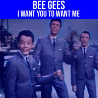 The Bee Gees - I Want You to Want Me (1963)