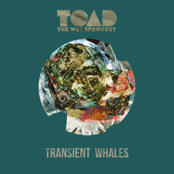 Toad The Wet Sprocket - Transient Whales