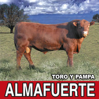 Almafuerte - Toro y Pampa (Remasterizado 2021)