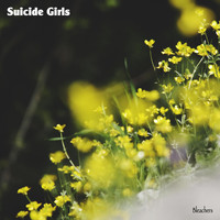 Bleachers - Suicide Girls