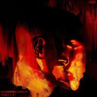 Niallo - Introspection