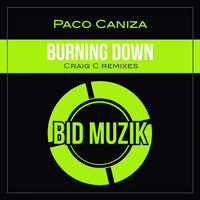 Paco Caniza - Burning Down