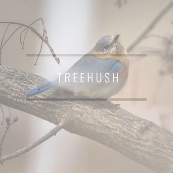 Field Notes Collective - Treehush