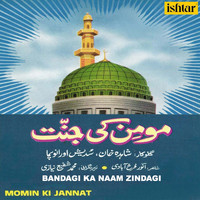 Sudesh Bhosle - Bandagi Ka Naam Zindagi (From "Momin Ki Jannat")