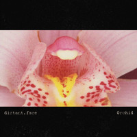 Distant.face - Orchid (Live)