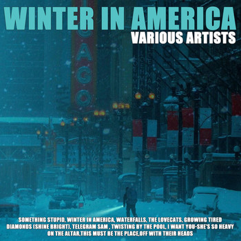 Various Artists - Winter In America