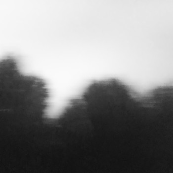 Vikowski - The Long Run