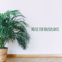 Rest & Relax Nature Sounds Artists - Music for Houseplants - Collection of Natural and Calm Sounds for Better Growth of Your Plants