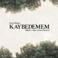 Kaan Malkoç - Kaybedemem (Big K's After-reborn Remix)