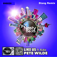Pete Wilde - Like Us (feat. Rubix) (Stang Remix)