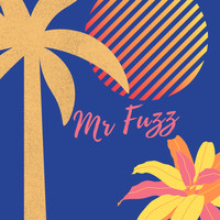 Mr. Fuzz - See You in Capri