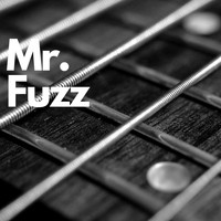 Mr. Fuzz - Pool Party