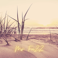 Mr. Fuzz - Neodisco