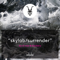 D-Nox & Beckers - Skylab / Surrender