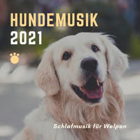 Entspannungsmusik Meer - Hundemusik 2021 - Schlafmusik für Welpen