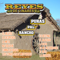 Reyes de Linares - Puras Pal' Rancho