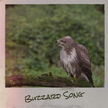 Various Artists - Buzzard Song