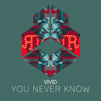 Vivid - You Never Know
