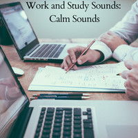 Brain Timbre, Focus, Study Music & Sounds - Work and Study Sounds: Calm Sounds