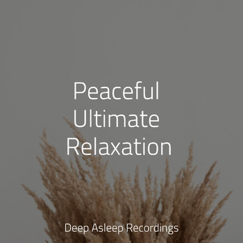 Baby Sleep Music, Massagem, Sleep Songs 101 - Peaceful Ultimate Relaxation