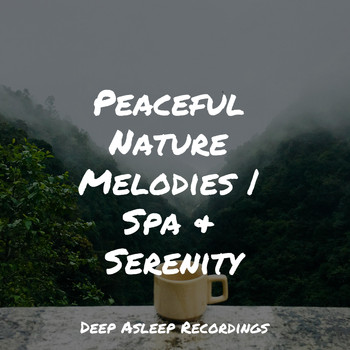 Relaxing Mindfulness Meditation Relaxation Maestro, Relajación, Chakra Meditation Universe - Peaceful Nature Melodies | Spa & Serenity