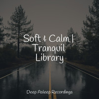 Música Relaxante, Anxiety Relief, Zen Meditate - Soft & Calm | Tranquil Library