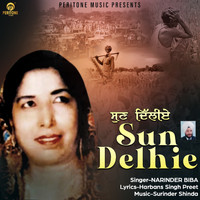 Narinder Biba - Sun Delhie
