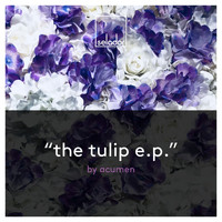 Acumen - The Tulip