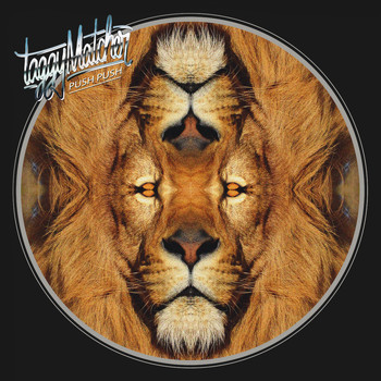 Taggy Matcher - Push Push