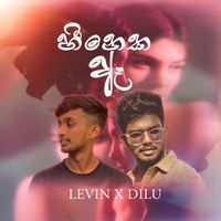 Levin - Heeneka Aa
