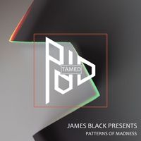 James Black Presents - Patterns Of Madness