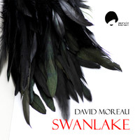 David Moreau - Swanlake