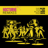 David Walters - Nocturne Remixes