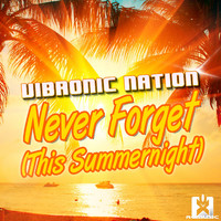 vibronic nation - Never Forget (This Summernight)