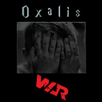 Oxalis - War