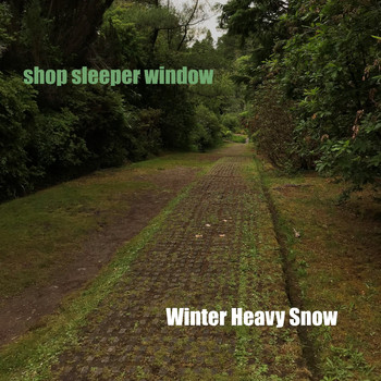 Winter Heavy Snow - Shop Sleeper Window