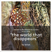 Lonya - The World That Disappears EP